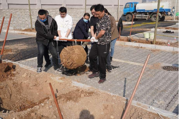 植树节活动新闻稿347.png